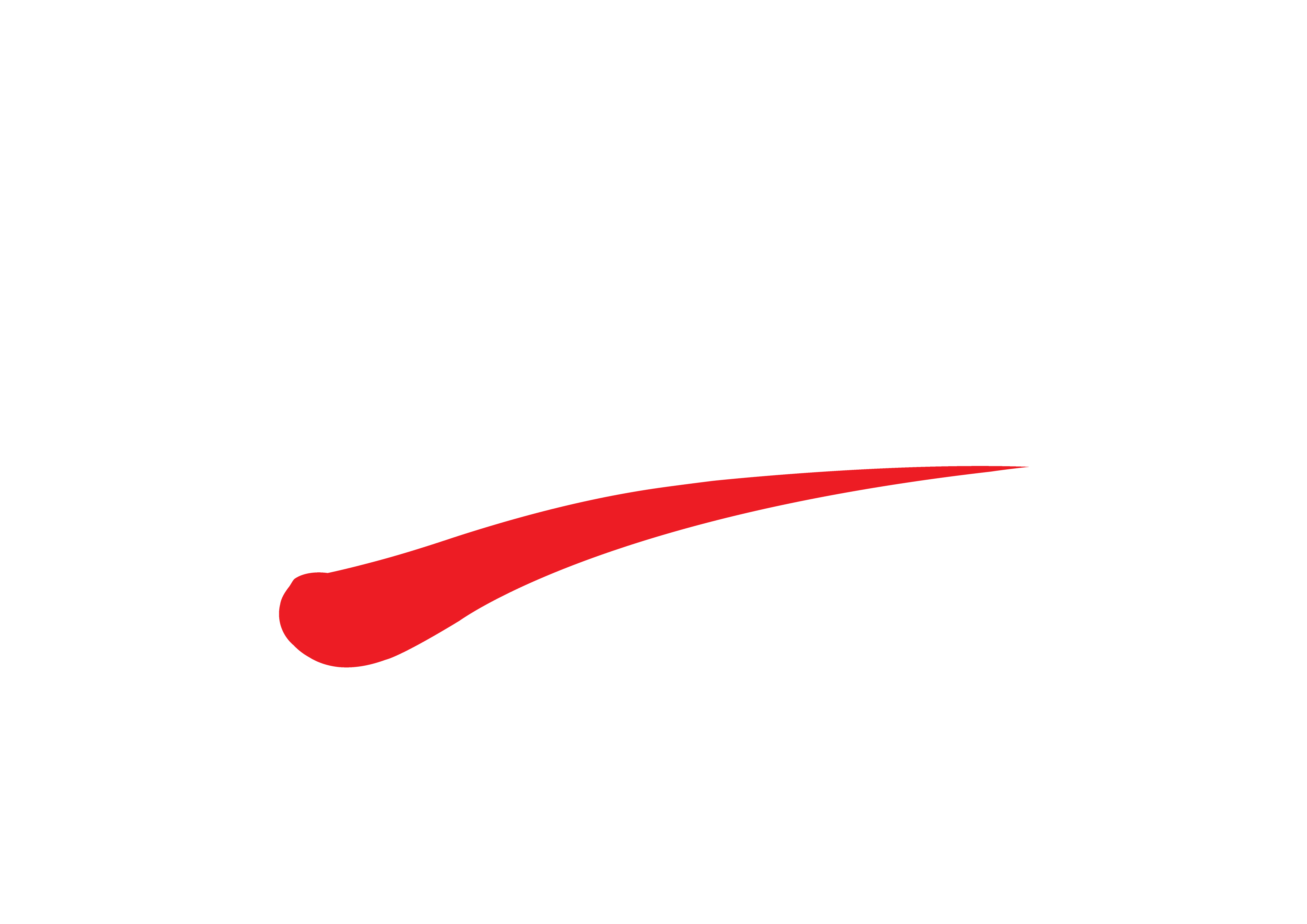 Falcon Incorporation Pte Ltd